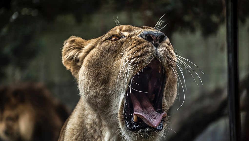 How To Use Basic Design Principles To Decorate Your Home